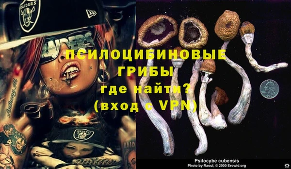 экстази Богородицк