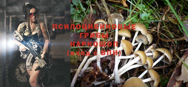 экстази Богородицк