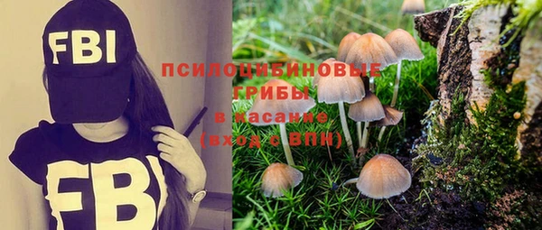 экстази Богородицк
